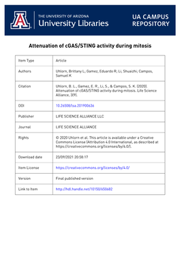 Attenuation of Cgas/STING Activity During Mitosis