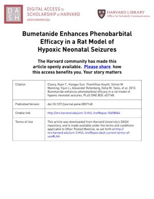 Bumetanide Enhances Phenobarbital Efficacy in a Rat Model of Hypoxic Neonatal Seizures