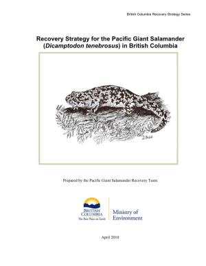 Recovery Strategy for the Pacific Giant Salamander (Dicamptodon Tenebrosus) in British Columbia