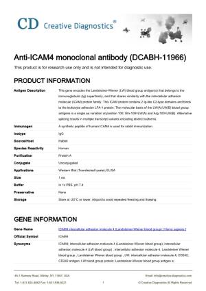 Anti-ICAM4 Monoclonal Antibody (DCABH-11966) This Product Is for Research Use Only and Is Not Intended for Diagnostic Use