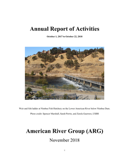 Draft Annual Report of Activities