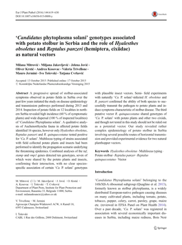 Candidatus Phytoplasma Solani