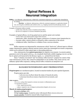 Spinal Reflexes & Neuronal Integration