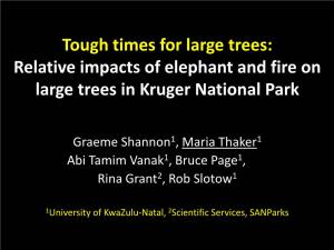 Large Tree Mortality in Kruger National Park