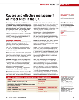 Causes and Effective Management of Insect Bites in the UK