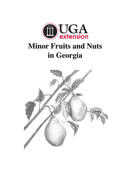 Minor Fruits and Nuts in Georgia Table of Contents