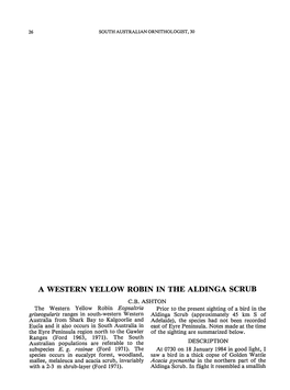 A Western Yellow Robin in the Aldinga Scrub C.B