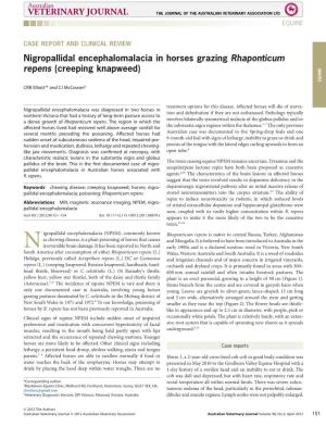 Nigropallidal Encephalomalacia in Horses Grazing Rhaponticum Repens