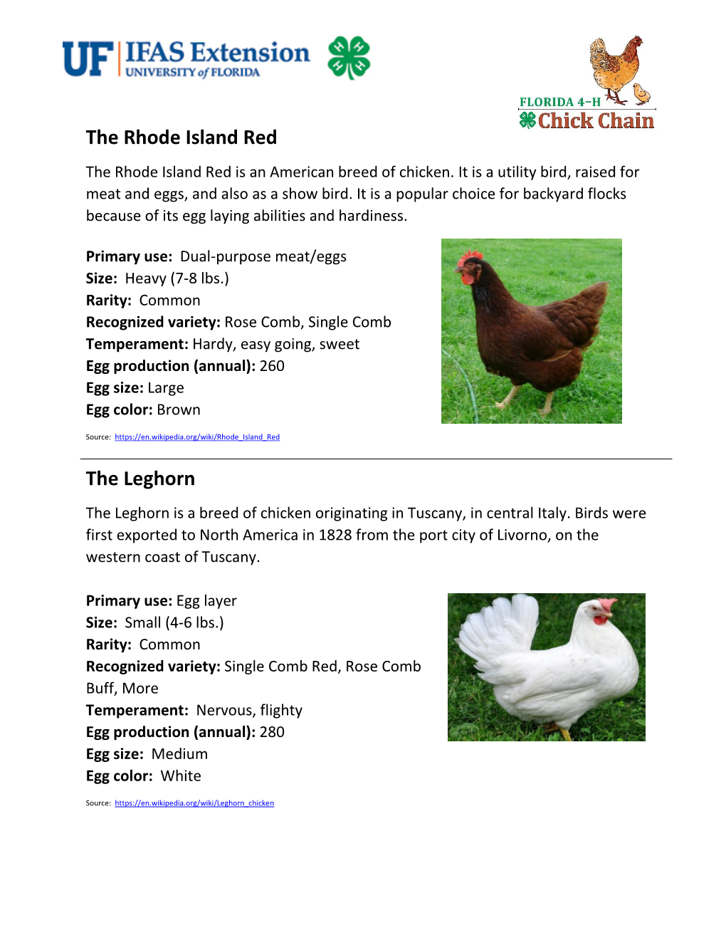 The Rhode Island Red the Leghorn