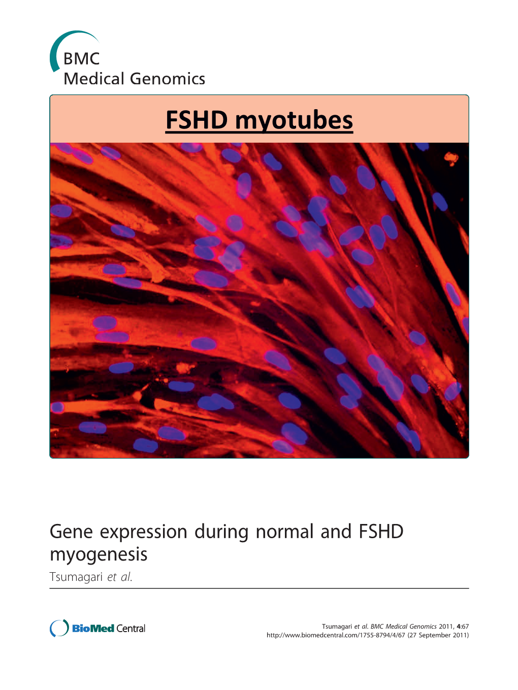 Gene Expression During Normal and FSHD Myogenesis Tsumagari Et Al