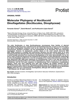 Molecular Phylogeny of Noctilucoid Dinoflagellates (Noctilucales