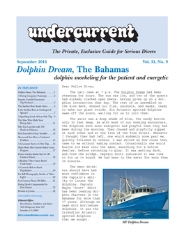 Dolphin Dream, the Bahamas + [Other Articles] Undercurrent