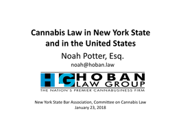 Cannabis Legalization in Urban Areas
