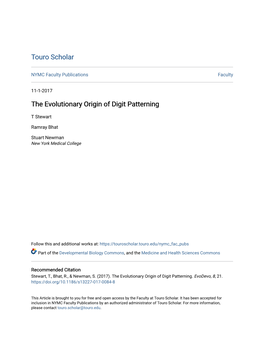 The Evolutionary Origin of Digit Patterning