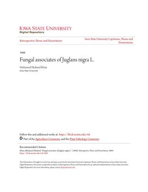 Fungal Associates of Juglans Nigra L. Mohamed Shaheed Khan Iowa State University