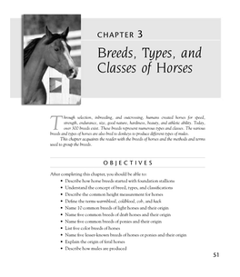 Breeds, Types, and Classes of Horses