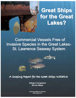 Great Ships for the Great Lakes?