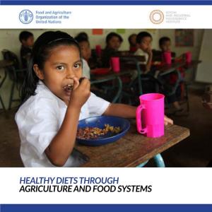 Healthy Diets Through Agriculture and Food Systems