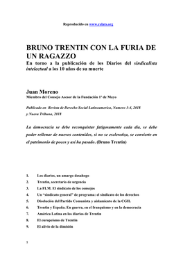 Bruno Trentin Con La Furia De Un Ragazzo. En Torno a La Publicación De Los Diarios