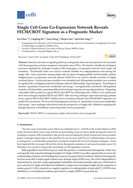 Single Cell Gene Co-Expression Network Reveals FECH/CROT Signature As a Prognostic Marker