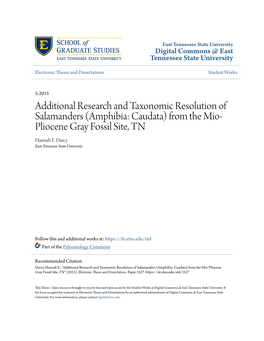 Additional Research and Taxonomic Resolution of Salamanders (Amphibia: Caudata) from the Mio- Pliocene Gray Fossil Site, TN Hannah E