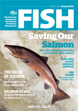 Saving Our Salmon When We Improve the Freshwater Environment Salmon Respond