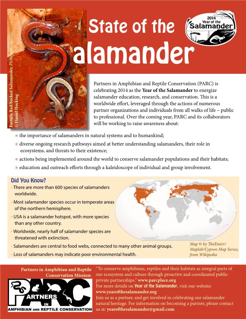 State of the Salamander Document