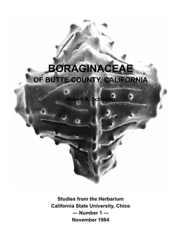 Boraginaceae of Butte County, California