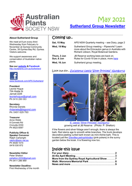 APS Sutherland Group Newsletter