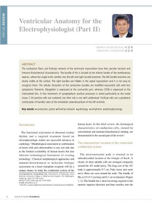 Ventricular Anatomy for the Electrophysiologist (Part