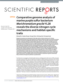 Comparative Genome Analysis of Marine Purple Sulfur Bacterium