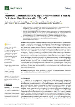 Protamine Characterization by Top-Down Proteomics: Boosting Proteoform Identification with DBSCAN