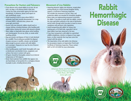 Rabbit Hemorrhagic Disease Brochure
