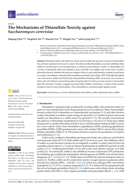 The Mechanisms of Thiosulfate Toxicity Against Saccharomyces Cerevisiae