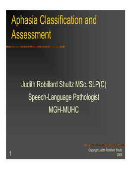 Aphasia Classification and Assessment