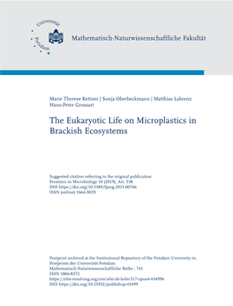 The Eukaryotic Life on Microplastics in Brackish Ecosystems