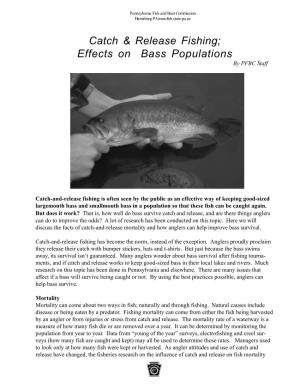 Catch and Release Fishing; Effects on Bass Populations