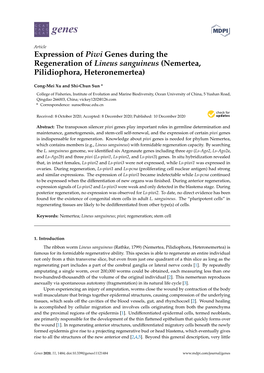 Expression of Piwi Genes During the Regeneration of Lineus Sanguineus (Nemertea, Pilidiophora, Heteronemertea)