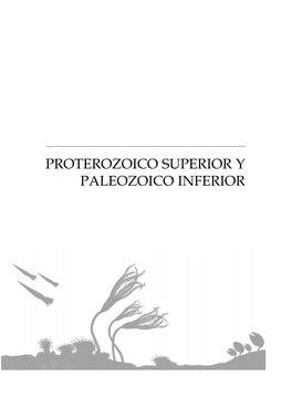 Proterozoico Superior Y Paleozoico Inferior