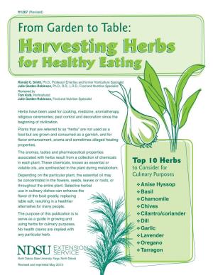From Garden to Table: Harvesting Herbs For