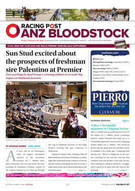 Sun Stud Excited About the Prospects of Freshman Sire Palentino at Premier | 2 | Friday, February 28, 2020