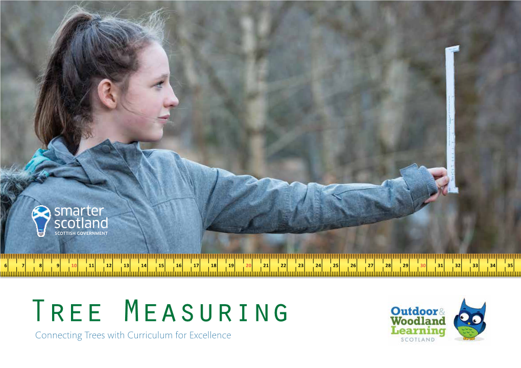 tree-measuring-connecting-trees-with-curriculum-for-excellence-tree