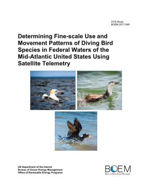 Determining Fine-Scale Use and Movement Patterns of Diving Bird Species in Federal Waters of the Mid-Atlantic United States Using Satellite Telemetry