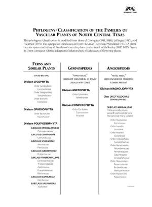 Phylogeny/Classification of the Families of Vascular Plants of North Central Texas