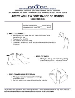 Active Ankle & Foot Range of Motion Exercises