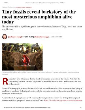 Tiny Fossils Reveal Backstory of the Most Mysterious Amphibian Alive Today - USC News