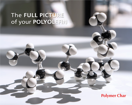 The FULL PICTURE of Your POLYOLEFIN