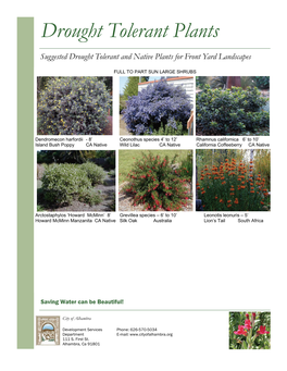 Drought Tolerant Plants List
