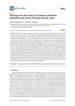 Phylogenetic Diversity of Archaea in Shallow Hydrothermal Vents of Eolian Islands, Italy