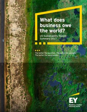 What Does Business Owe the World? US Sustainability Report Summary 2017 About This Report
